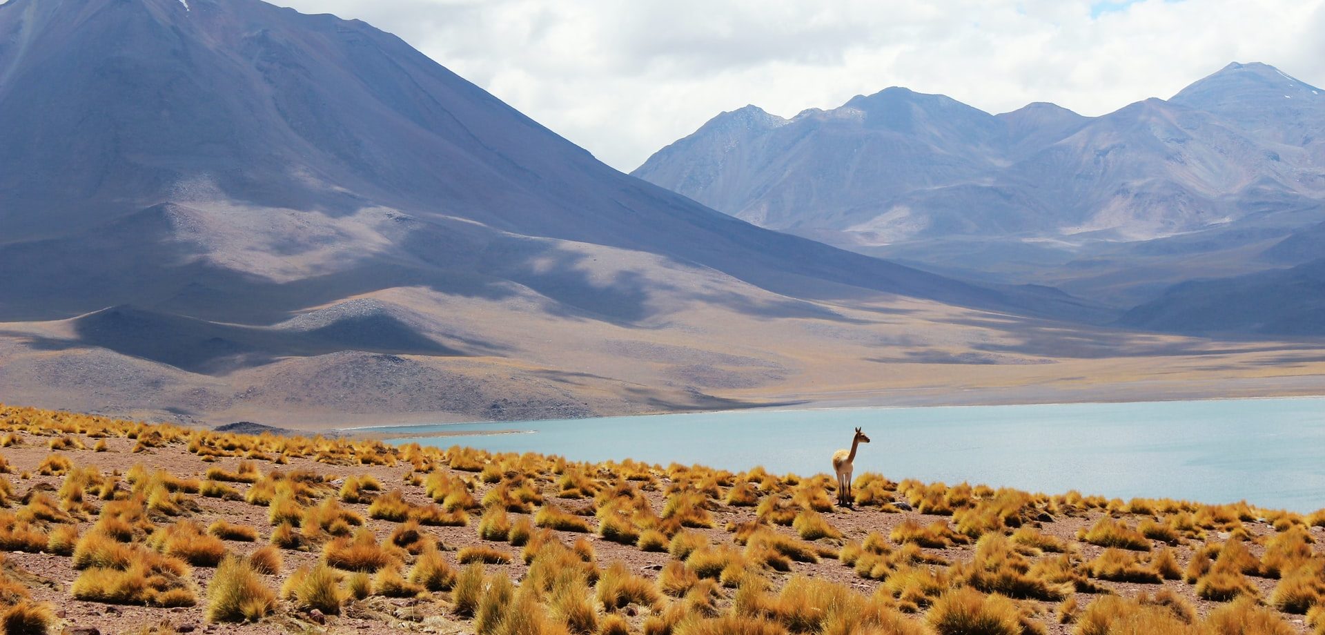 Television programmes to support Chilean rural tourism entrepreneurs