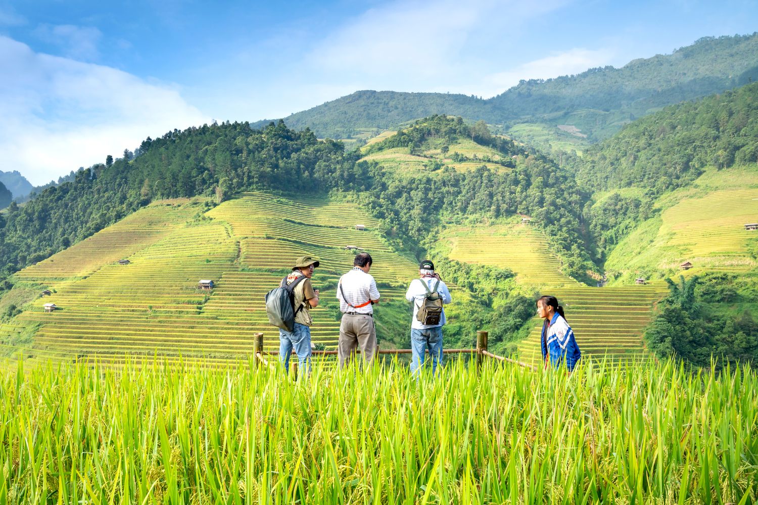 Behavioural design and responsible tourism: insights from ISTO’s webinar with Milena Nikolova